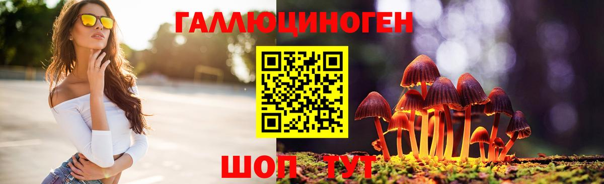 Галлюциногенные грибы Cubensis Салават